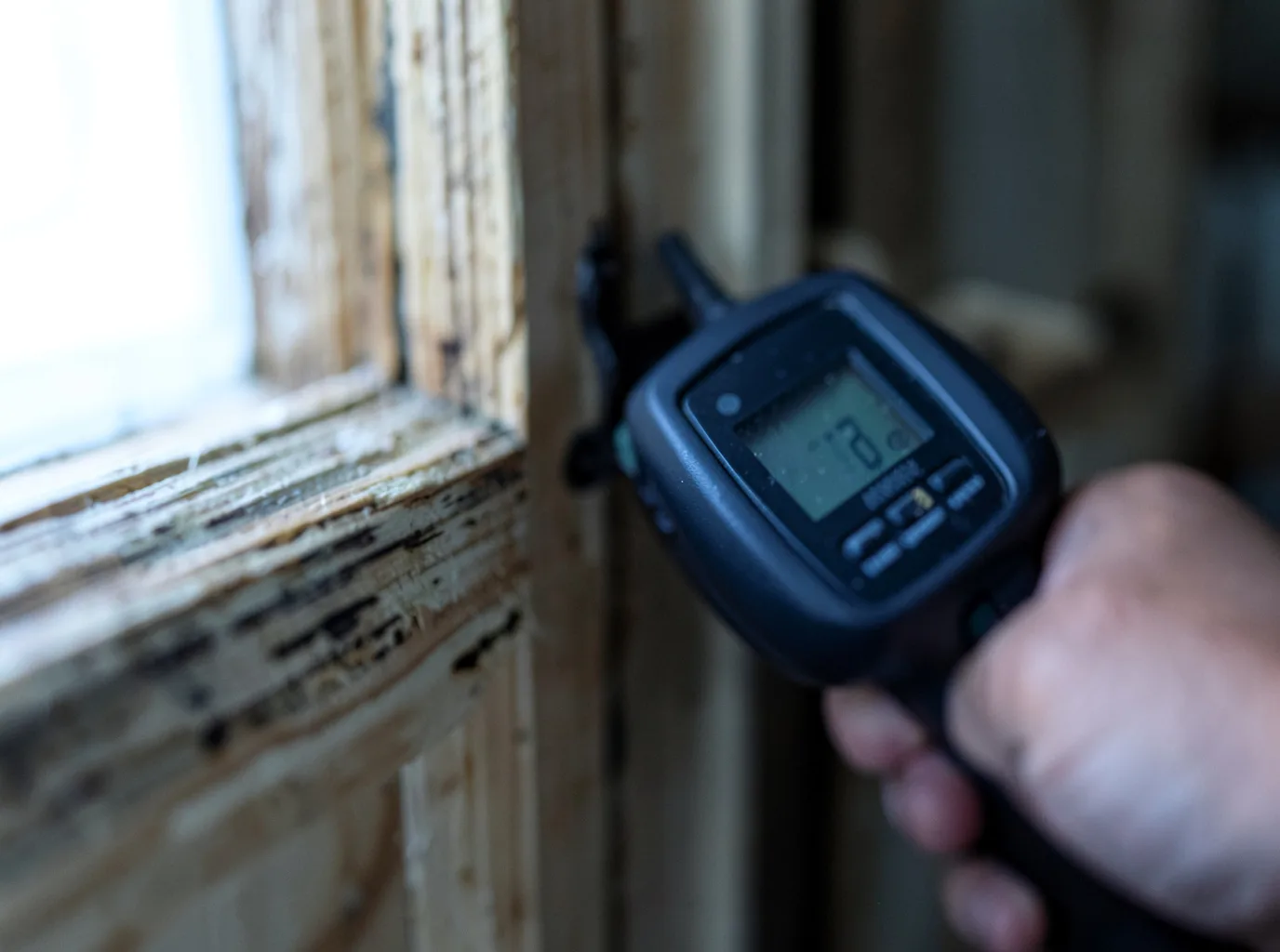 Moisture Inspection And Documentation in Pond Eddy, NY